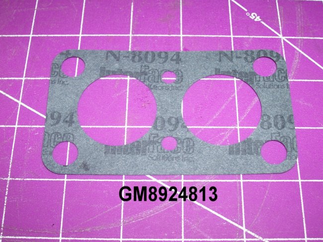 GM8924813