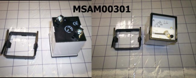 MSAM00301