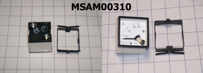 MSAM00310