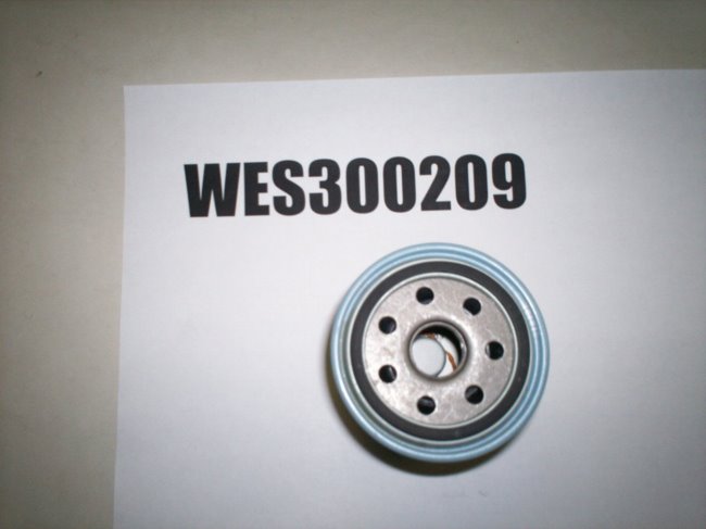 WES300209