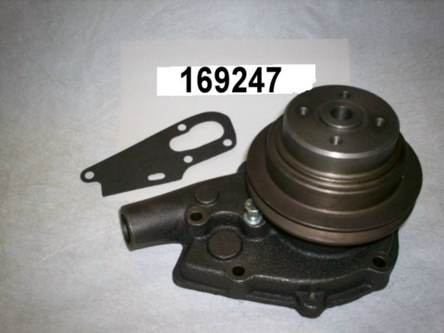 00100169247