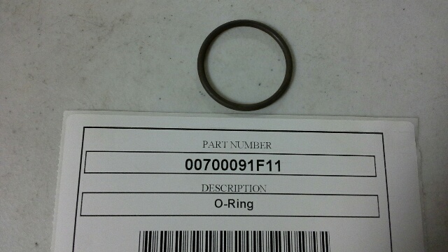 00700091F11
