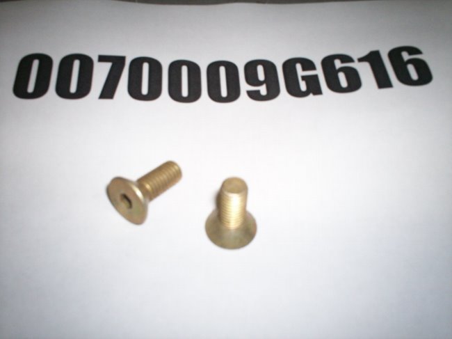 0070009G616