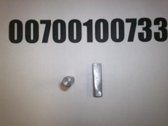 00700100733