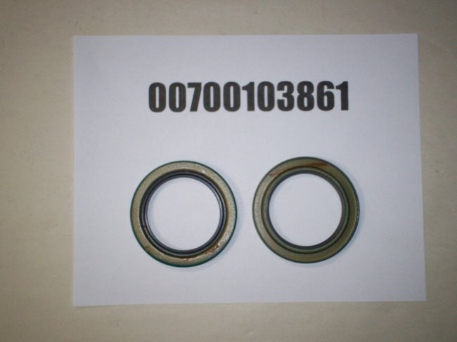 00700103861