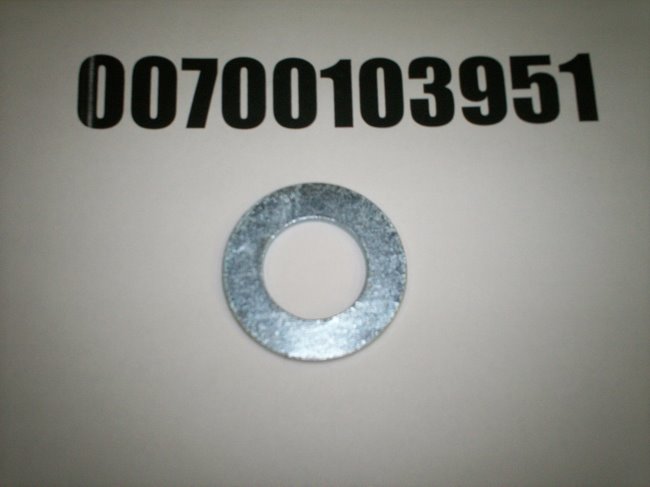 00700103951