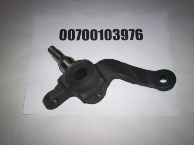00700103976