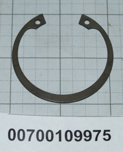 00700109975