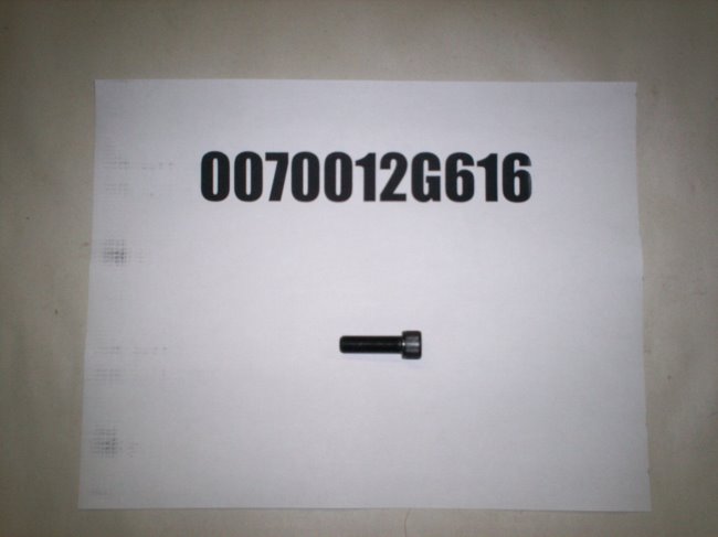 0070012G616