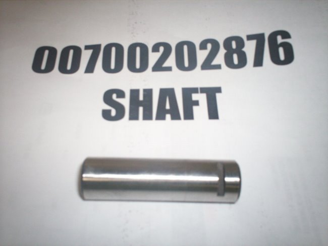 00700202876