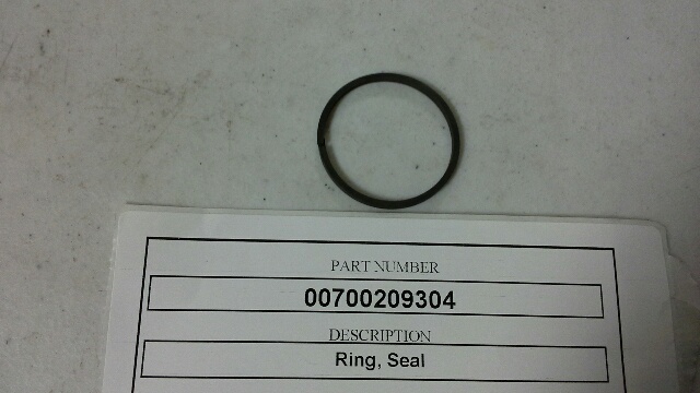 00700209304
