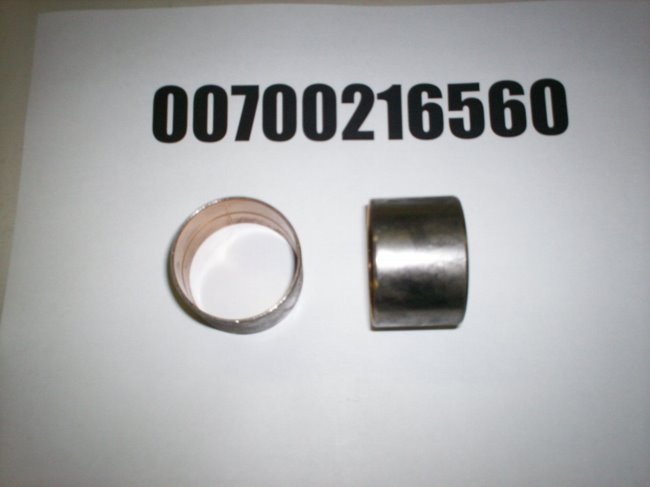 00700216560