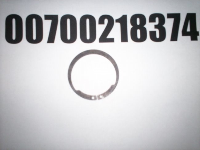00700218374