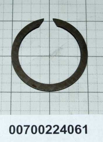 00700224061