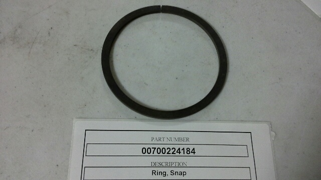 00700224184