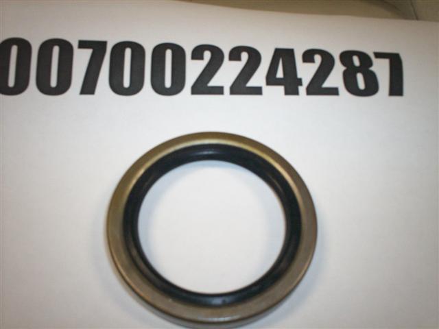 00700224287