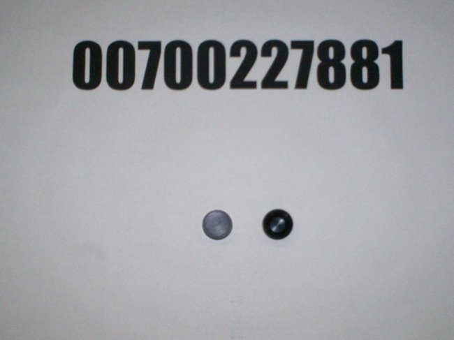 00700227881