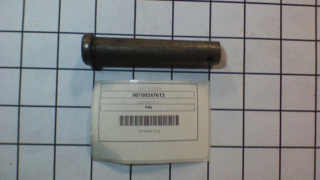 00700347613