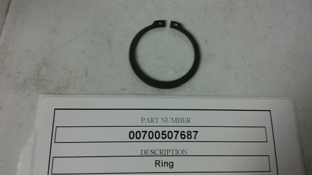 00700507687