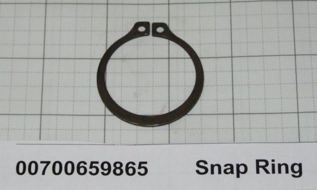 00700659865