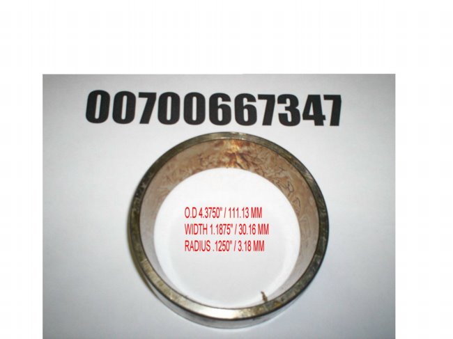 00700667347