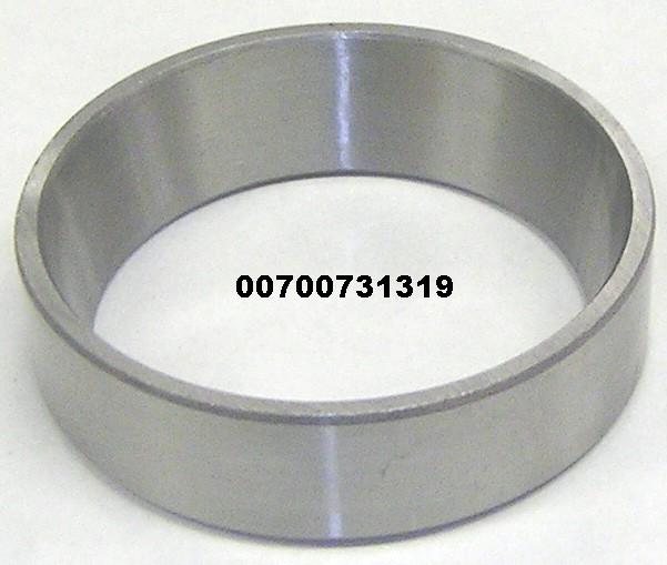 00700731319