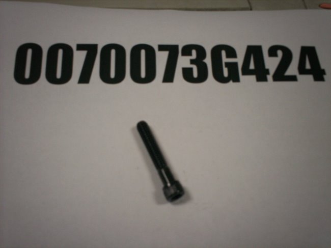 0070073G424