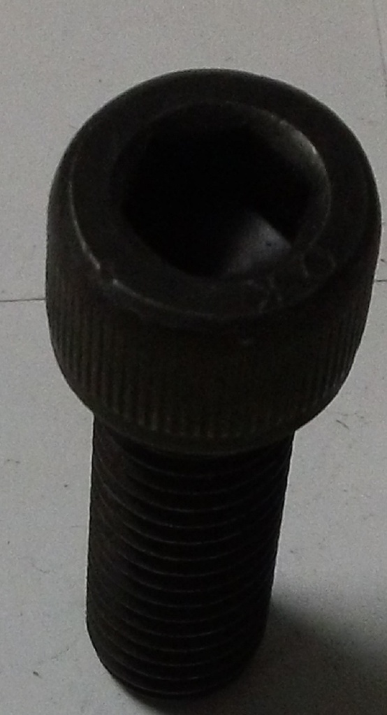 0070073G824