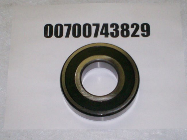 00700743829