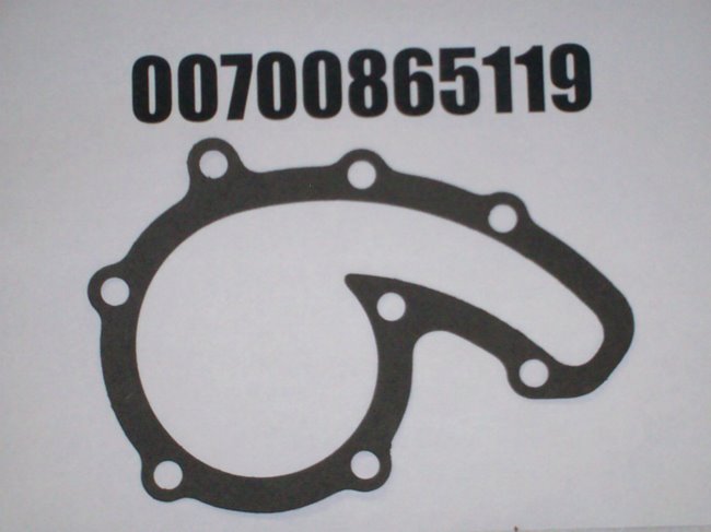 00700865119
