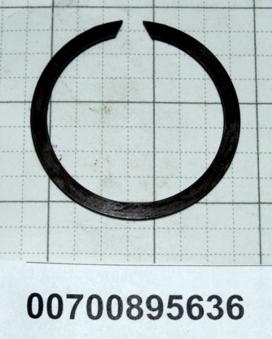 00700895636