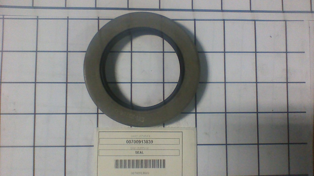 00700913839