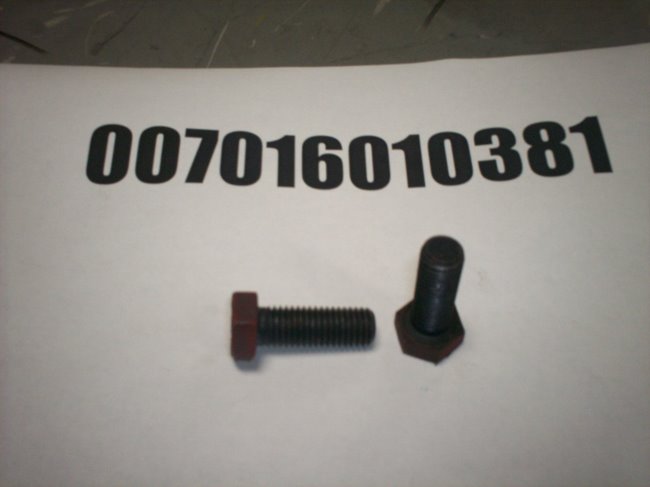 007016010381