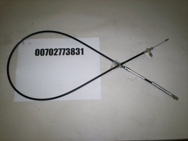 00702773831