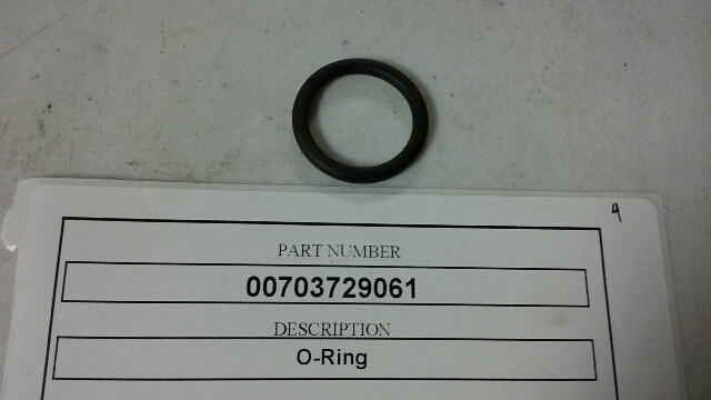 00703729061