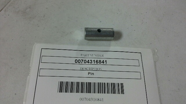 00704316841