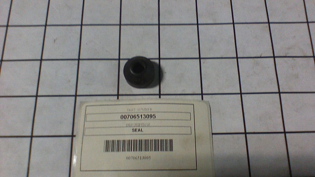 00706513095