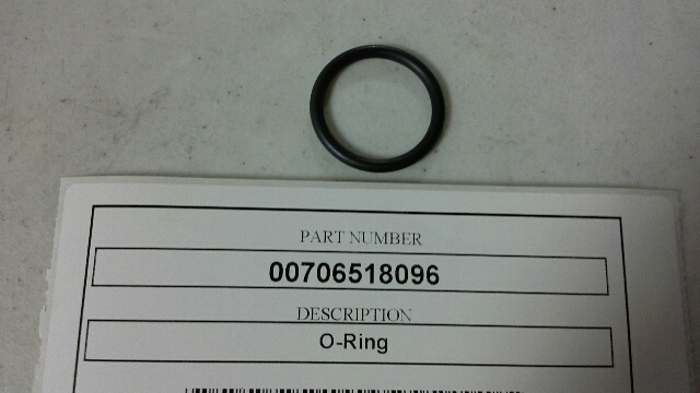 00706518096