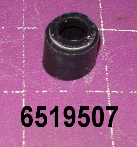00706519507