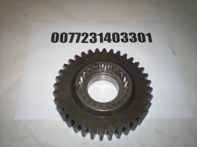 0077231403301
