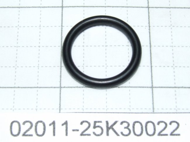 02011-25K30022