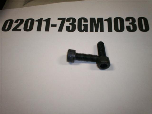 02011-73GM1030