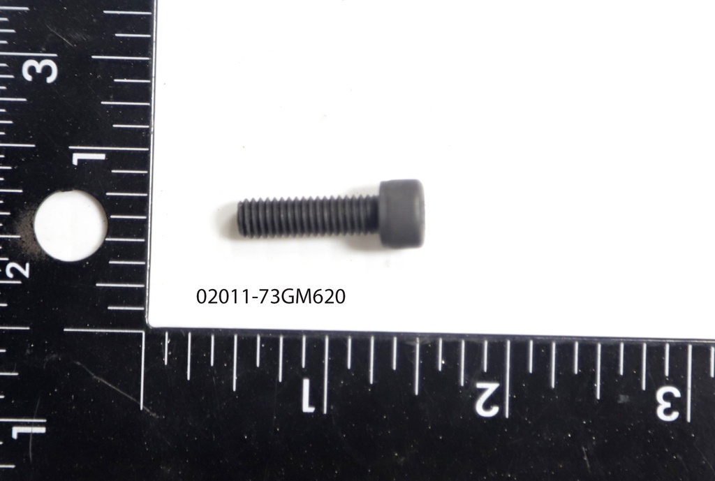 02011-73GM620