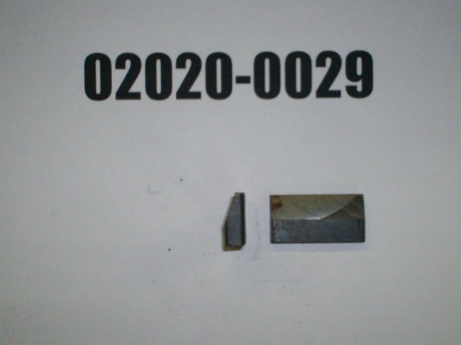 02020-0029