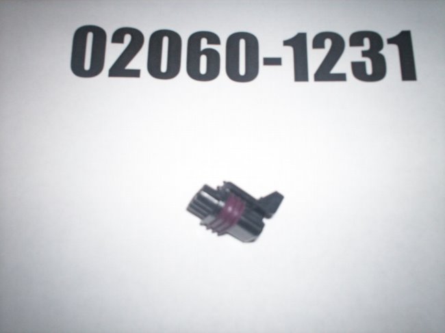 02060-1231