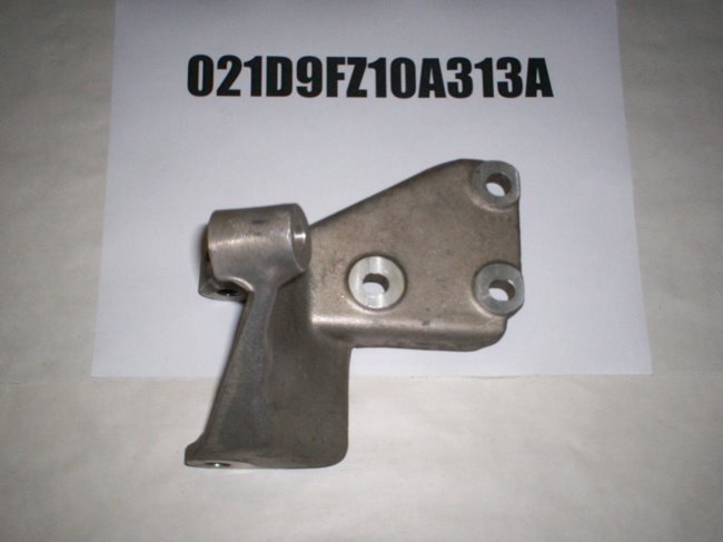 021D9FZ10A313A
