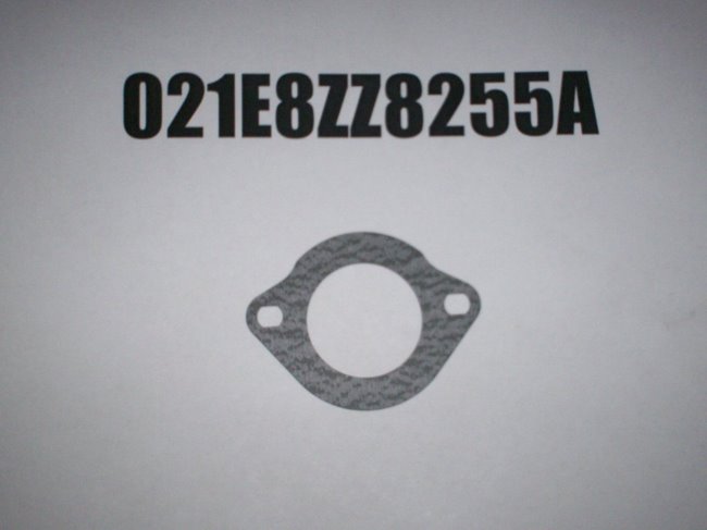 021E8ZZ8255A