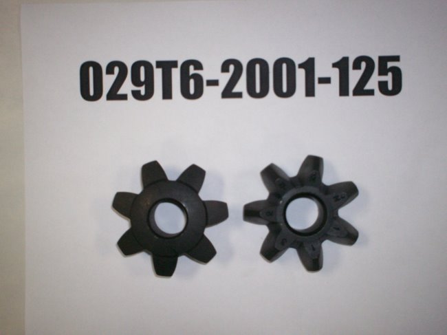 029T6-2001-125