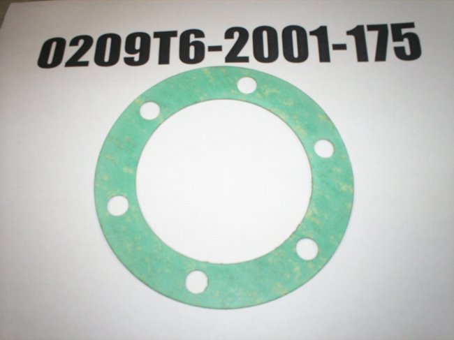 029T6-2001-175