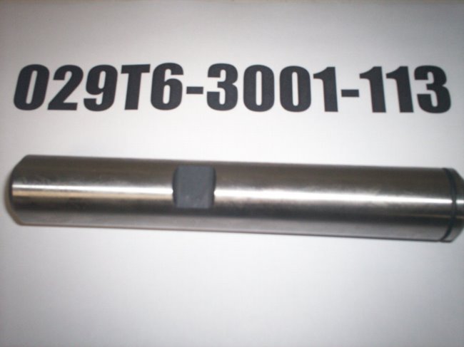 029T6-3001-113